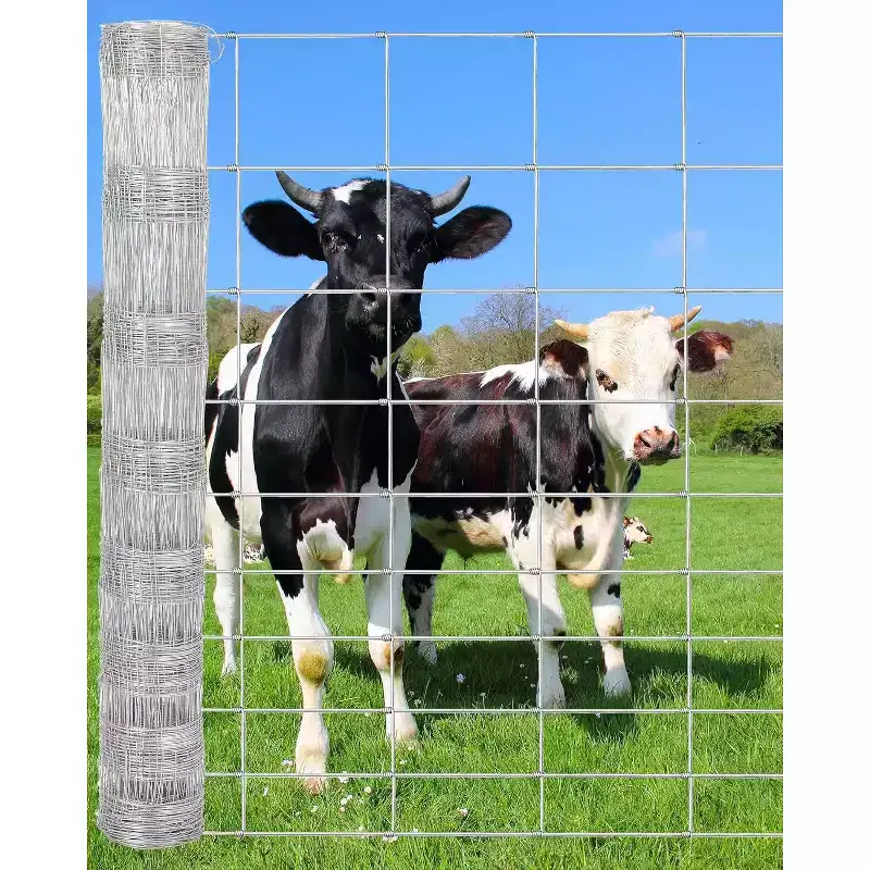 Heavy Duty Galvanized Welded Wire Fence, 1/2 Inch 19 Gauge Hardware Cloth, Rust Resistant Mesh for Garden, Poultry & Livestock