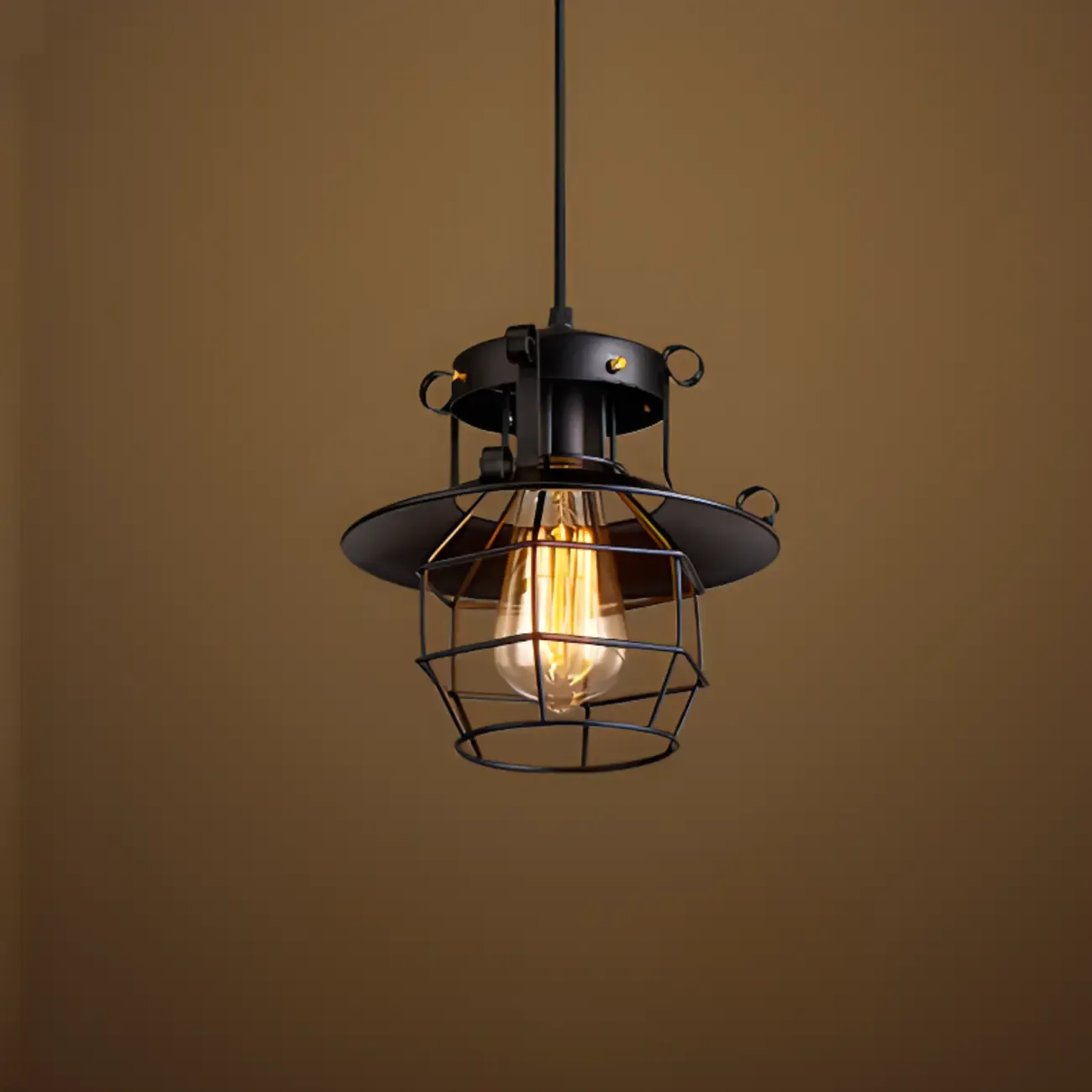 Gothic Black Iron Cage Hanging Pendant Light