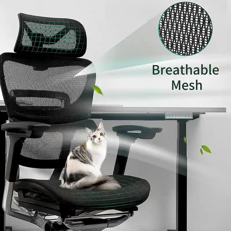 OdinLake High Back Office Chair Home Desk Chair Computer Chair Whitout Footrest