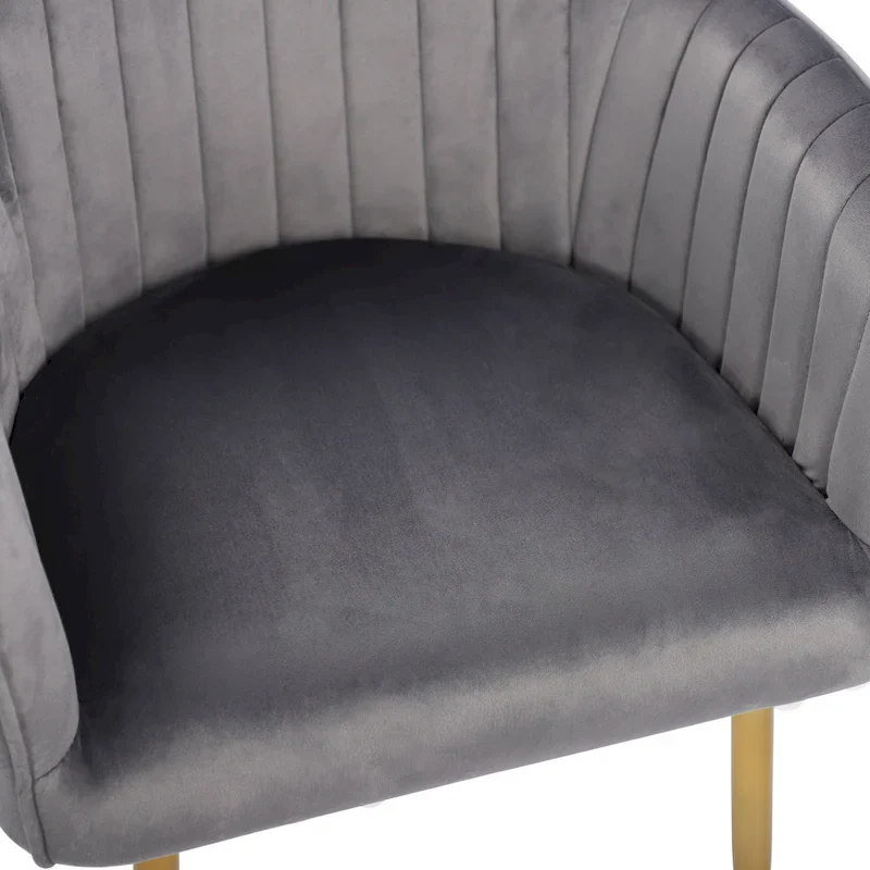 Velvet Accent Dining Chairs with Gold Metal Legs Set of 2