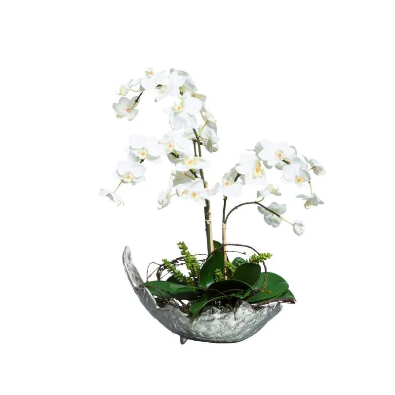 WHITE PHALONOPSIS IN SMALL SILVER BOWL