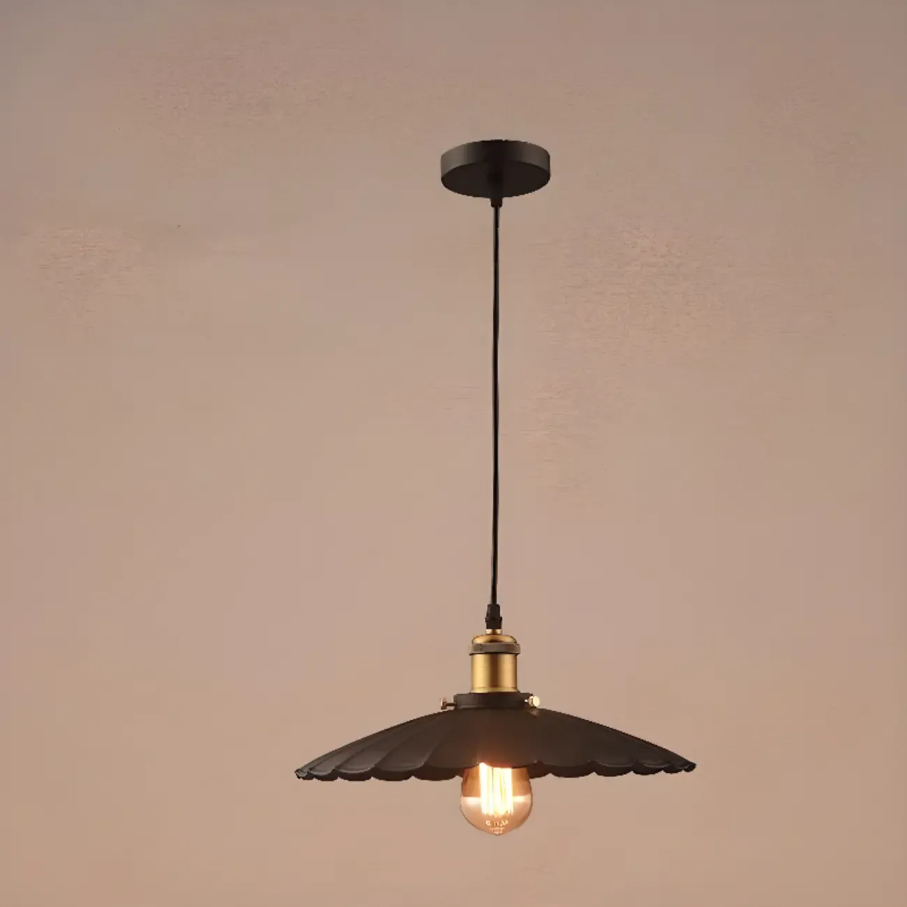 Industrial Adjustable Black Round Pendant light