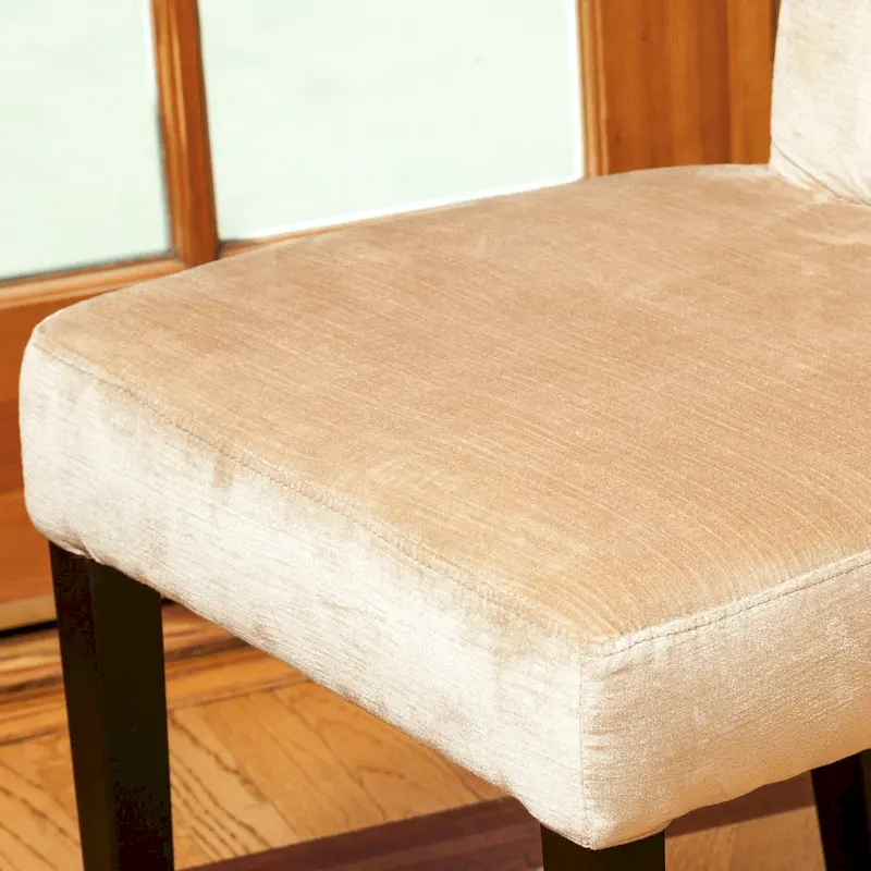 Venetian Tufted Dining Chairs (Set of 2) by Christopher Knight Home