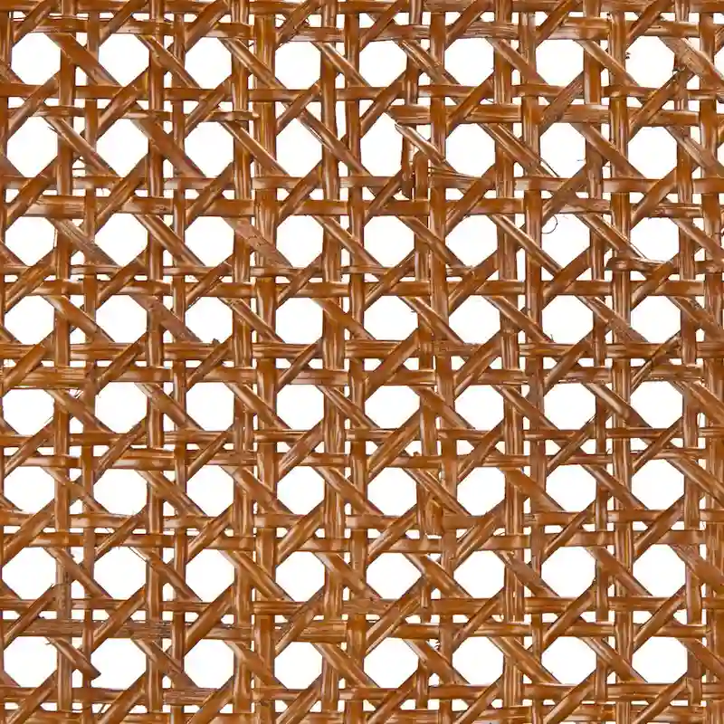 SAFAVIEH Sylva Rattan Cushion Dining Chair (Set of 2) - 19 W x 17.5 L x 32 H - 19Wx18Dx32H