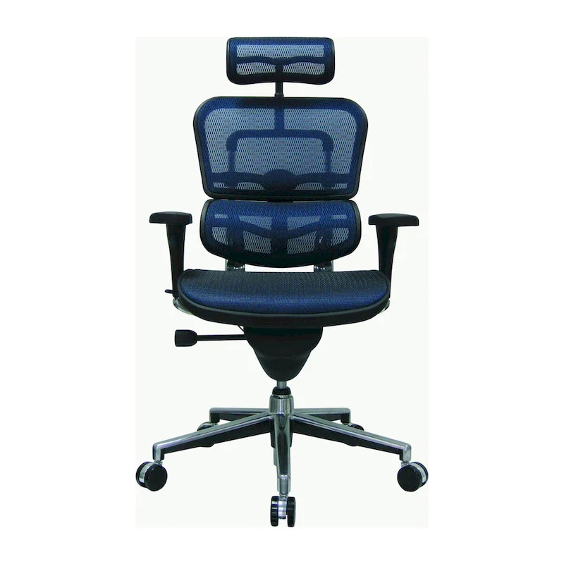 Eurotech Seating Ergohuman Mesh Managers Chair