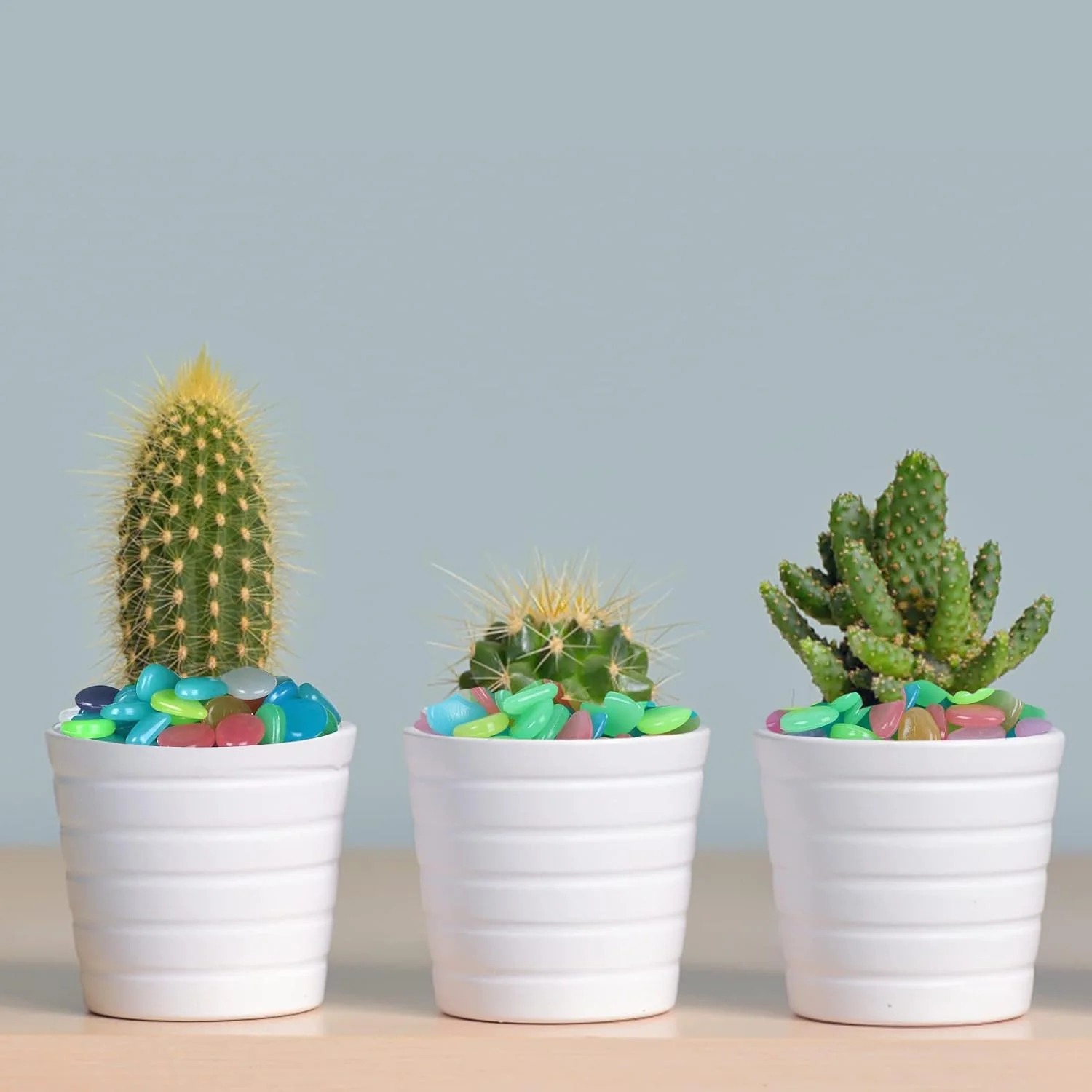 Idee per composizioni decorative
