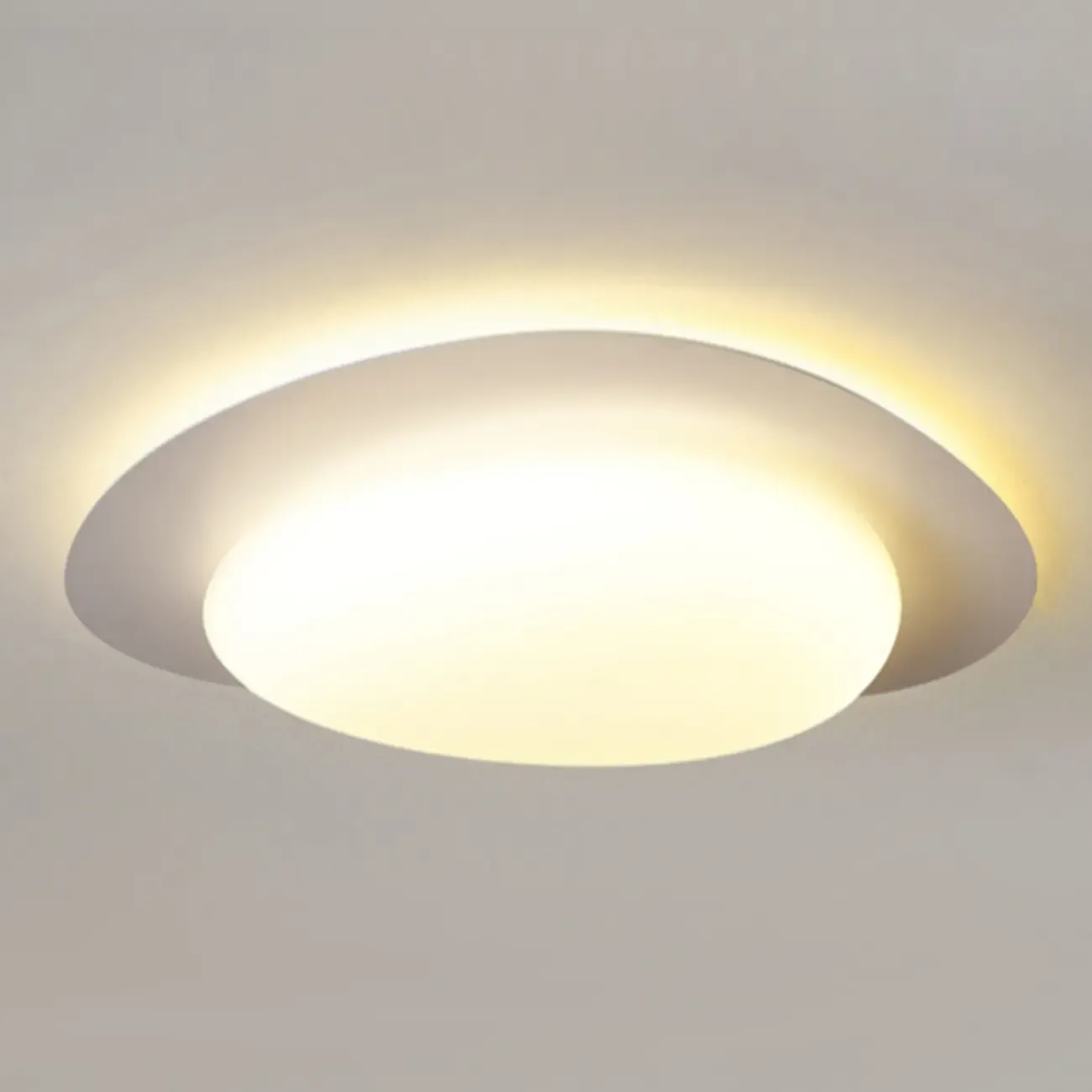 Dimmable Modern LED Flush Mount Ceiling Light with 2-Light