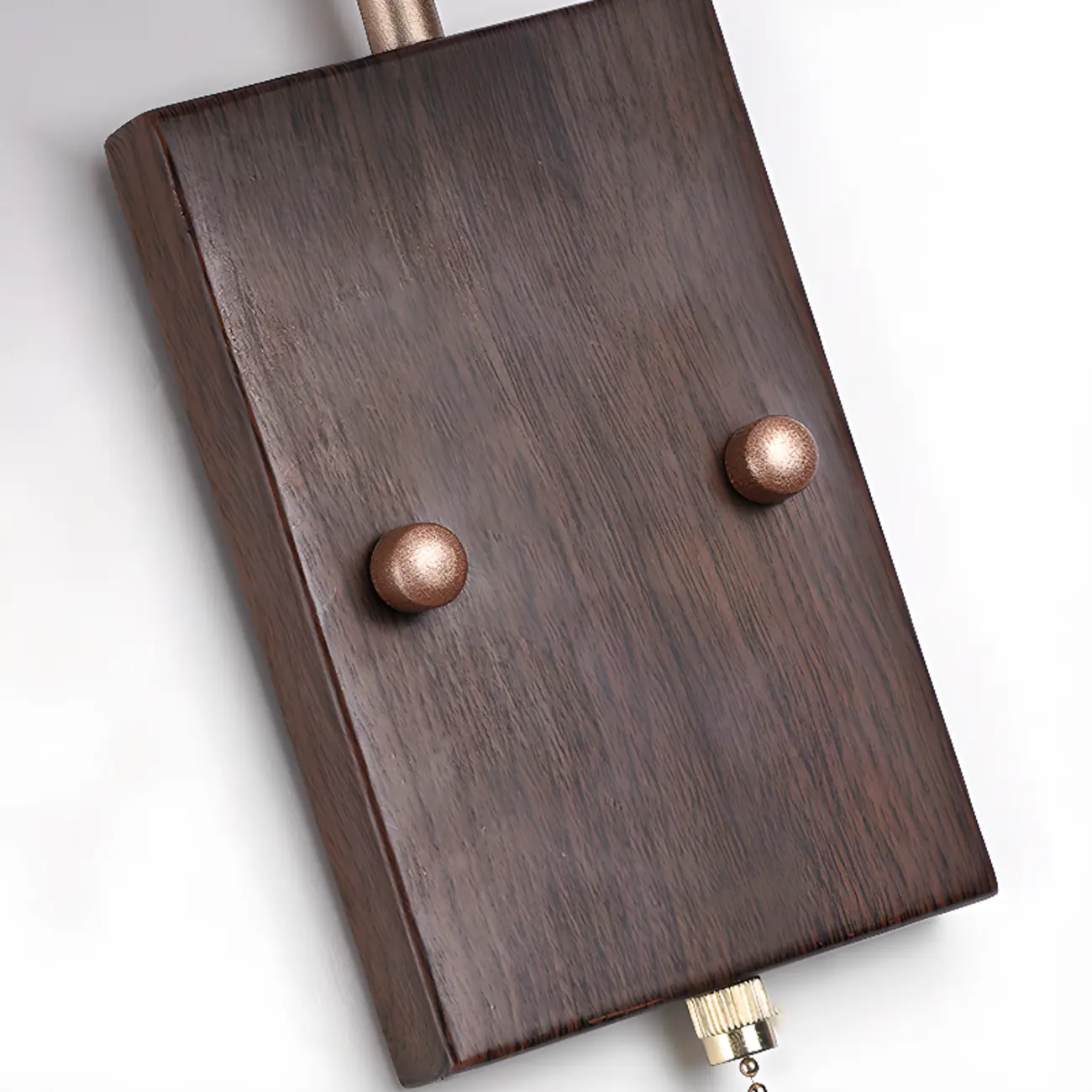 Elegant Swing Arm Wall Mount Light with Pull Chain Switch