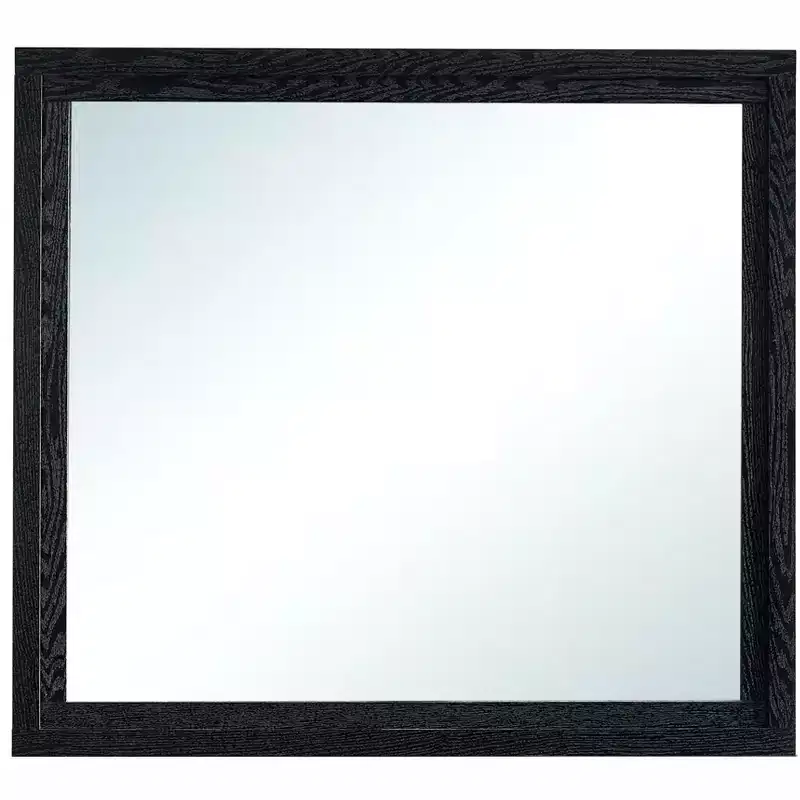 Passion Furniture Grande 41 in. W x 37 in. H Rectangle Wood Frame Black Dresser Mirror