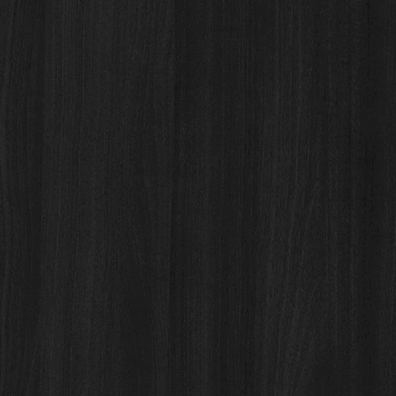 CraftPorch Mid-Century Modern Black Chest