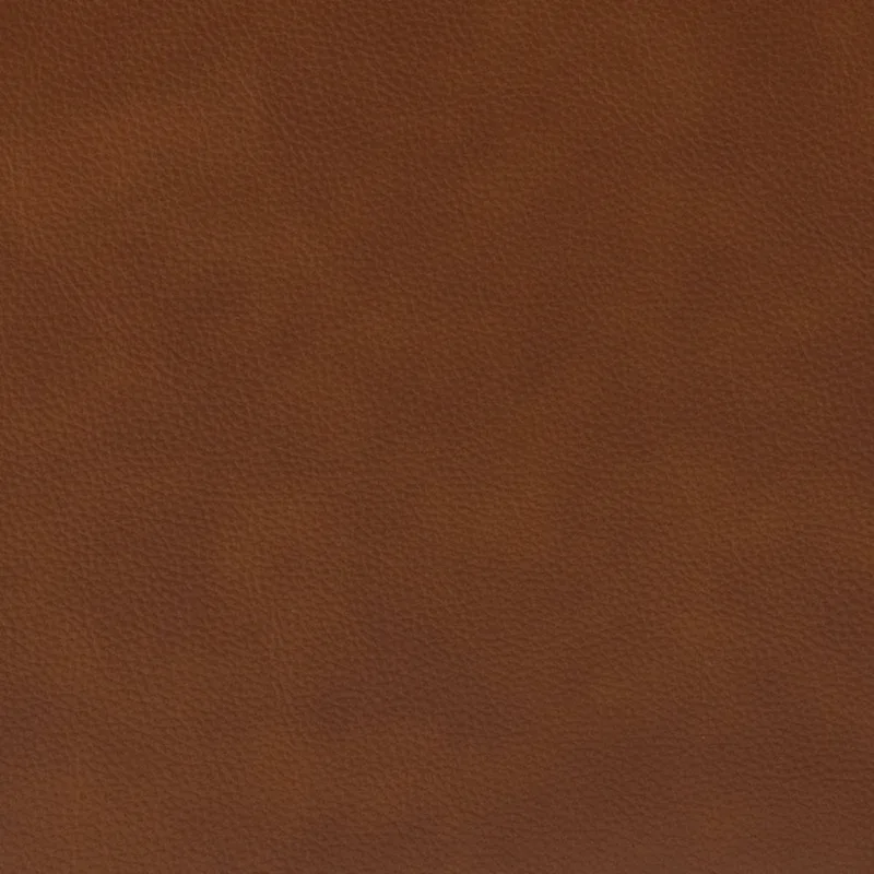 Pascual Comfy Living Room Armchair Set Of 2 with Solid Wood Legs