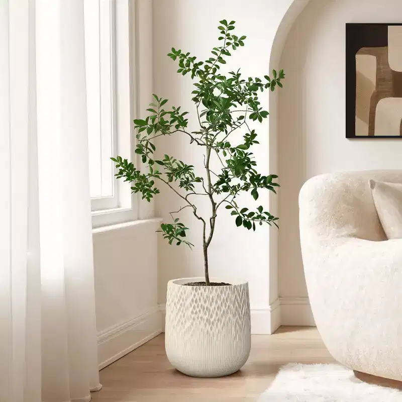 LuxenHome Antique Off-White Round Planter, Deep-to-Light Gradient Texture, Tapered Design