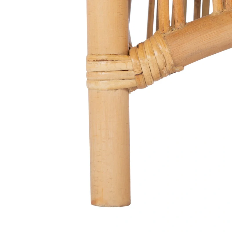 SAFAVIEH Patty Rattan Accent Chair with Cushion (Set of 2) - 19.7  W x 22.1  L x 35.4  H - 20Wx22Dx35H