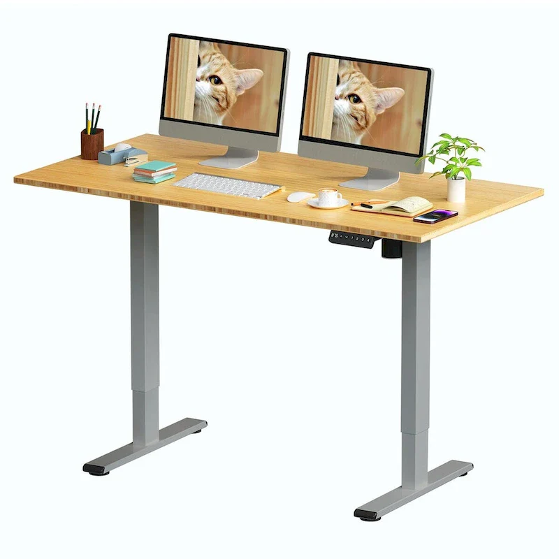 Bamboo Electric Height Adjustable Standing Desk - Single User
