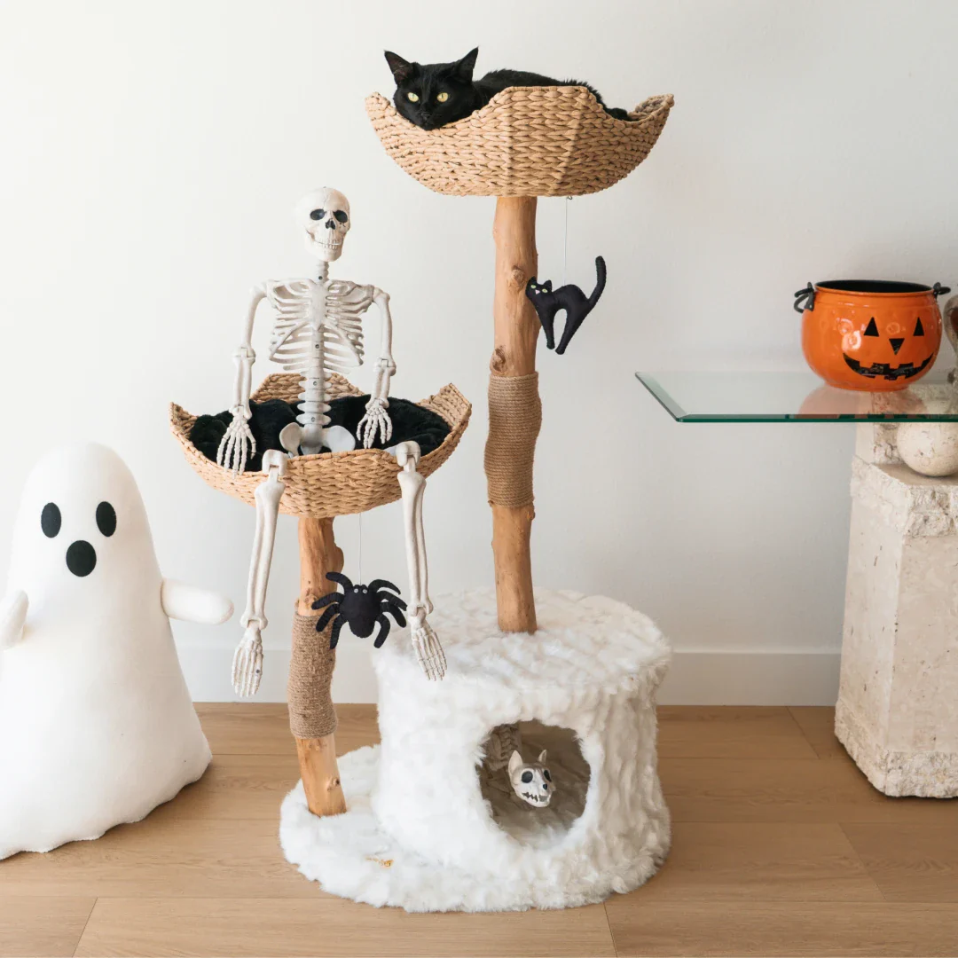 Limited Edition Halloween Pom-Poms