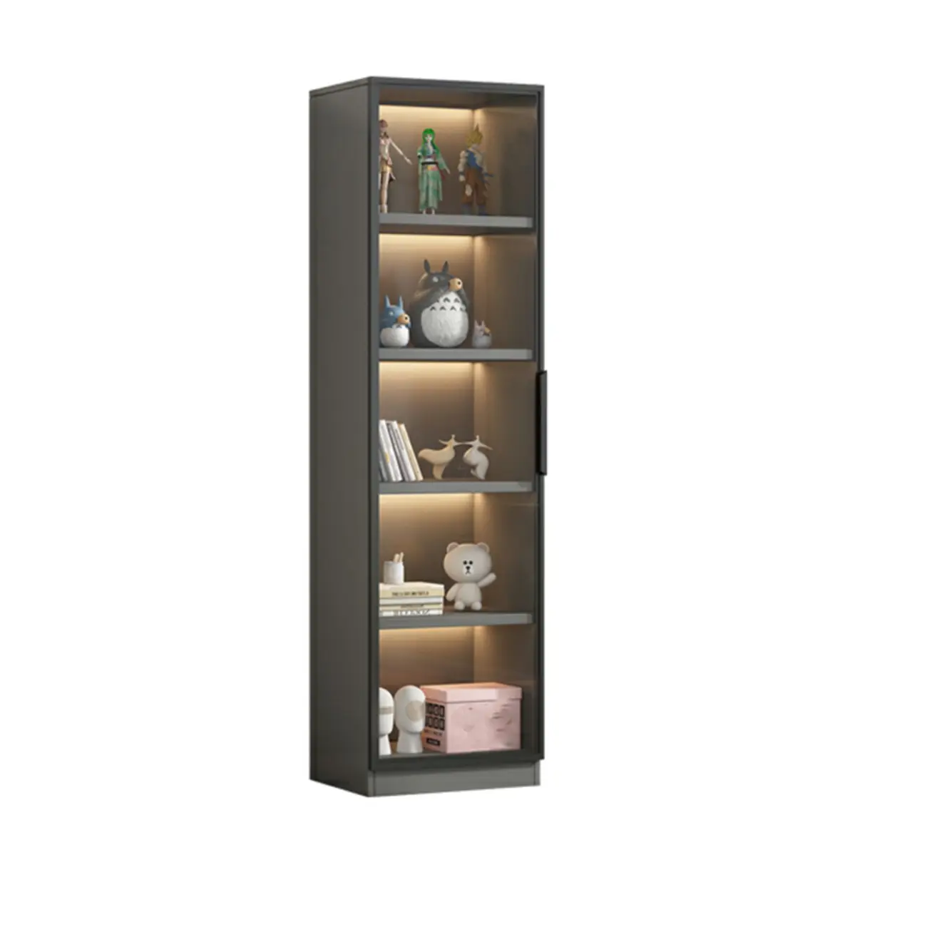 Simple Modern Gray Clear Cover Wooden Display Cabinet