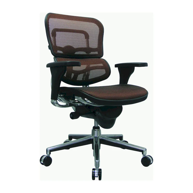 Ergohuman Mesh Managers Chair