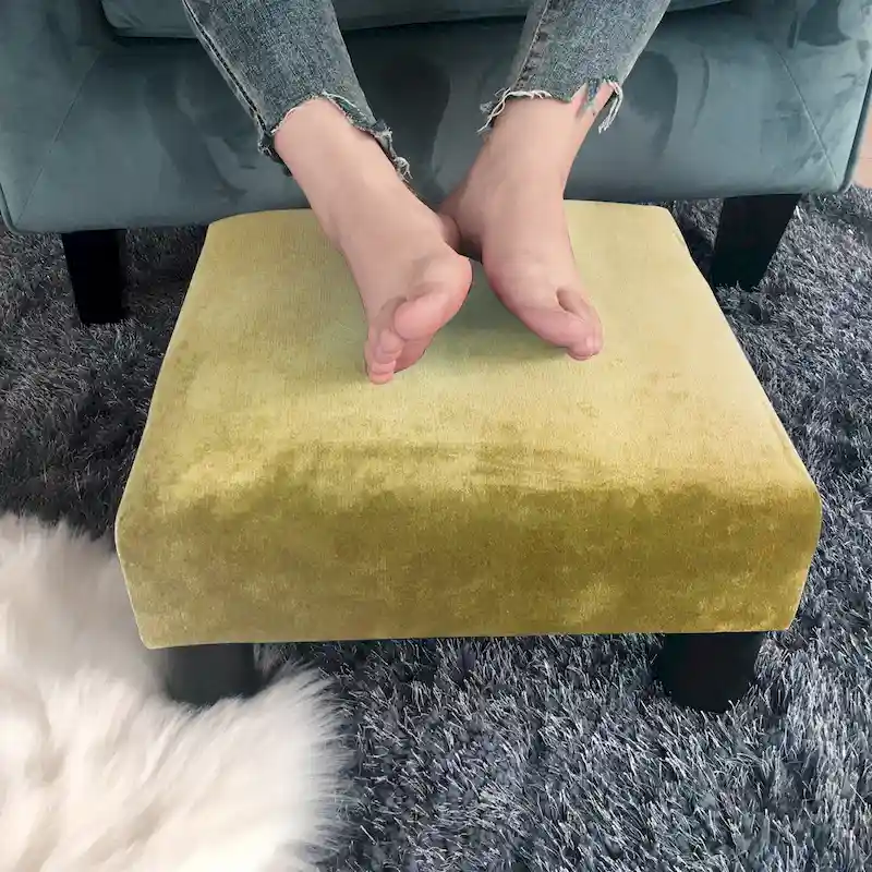 Adeco Ottoman Upholstered Fabric Footrest Pet Steps Dog Stair Stool