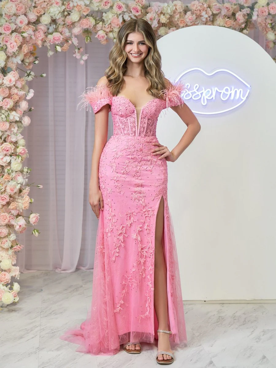 Mermaid Deep V Neck Feather Lace Long Prom Dress