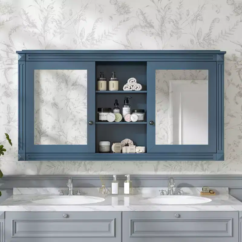 GDFStudio Jasiah 55 Modern Wall-Mounted 2-in-1 Mirror Cabinet with Adjustable Shelves
