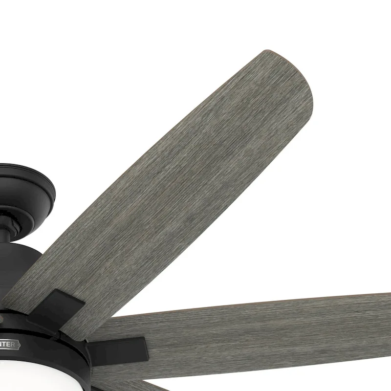 Hunter 60  Wilder Ceiling Fan with LED Light Kit and Wall Control