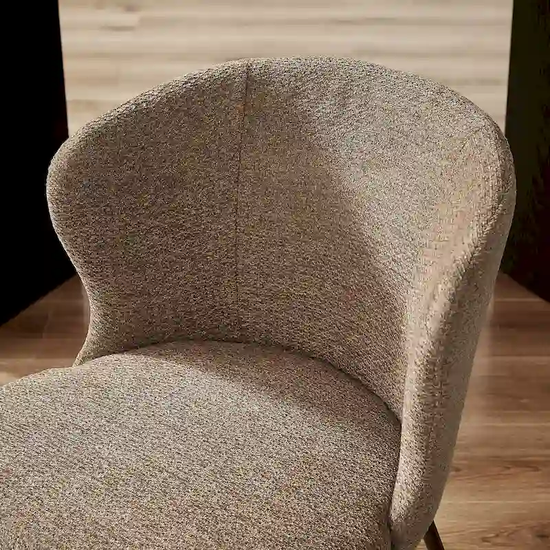 Modern Dining Chairs, Set of 2