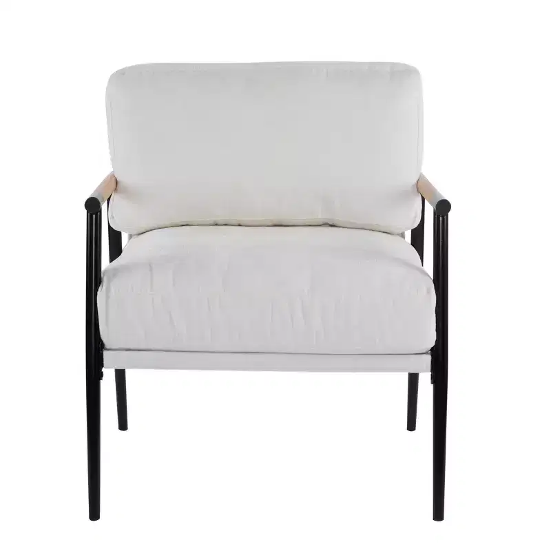 Christopher Knight Home Varsts Modern Wooden and Metal Upholstered Accent Chair