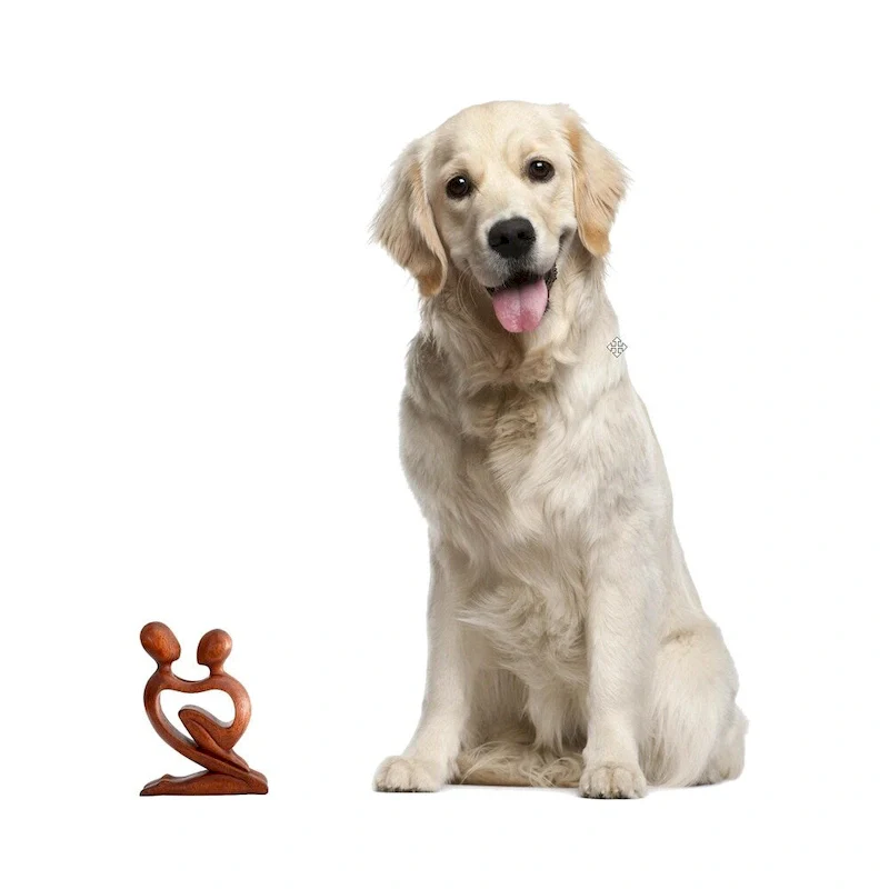 NOVICA Handmade Wood 'True Love' Sculpture (Indonesia) - 8.25  H x 6  W x 1.2  D