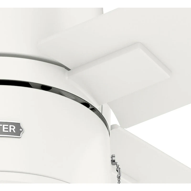 Hunter 42  Beck Ceiling Fan with LED Light Kit and Pull Chain - Transitional, Modern, Industrial