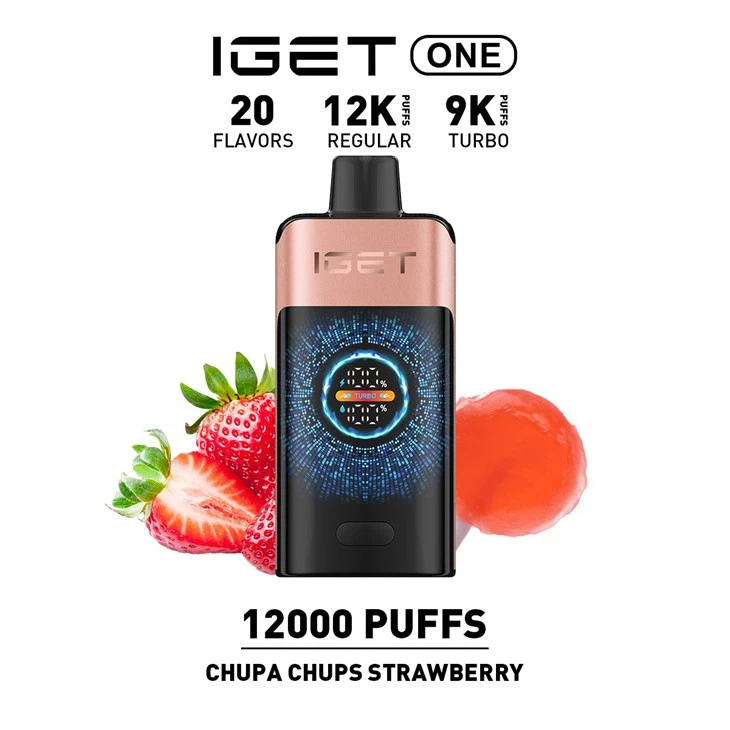 New IGET ONE 12000 Puffs 15 Flavors