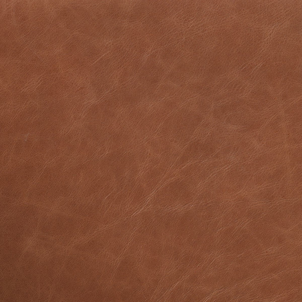 Hannah Swivel Bar + Counter Stool