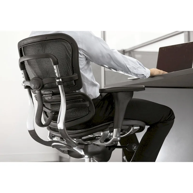 Ergohuman Mesh Managers Chair