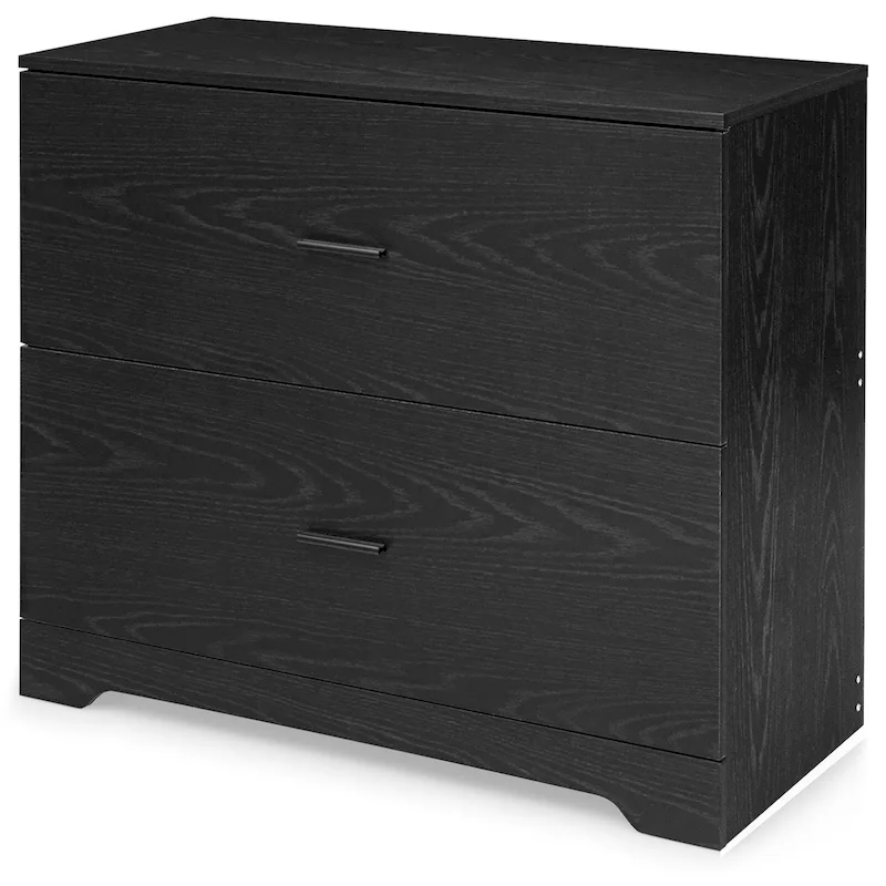 Black 2-Drawer Lateral File Cabinet with Adjustable Bars