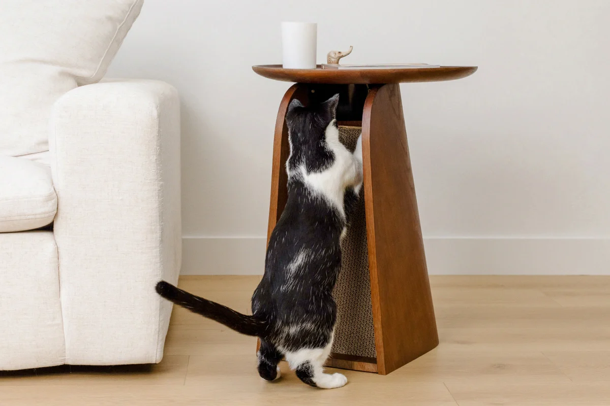 Kona Scratcher