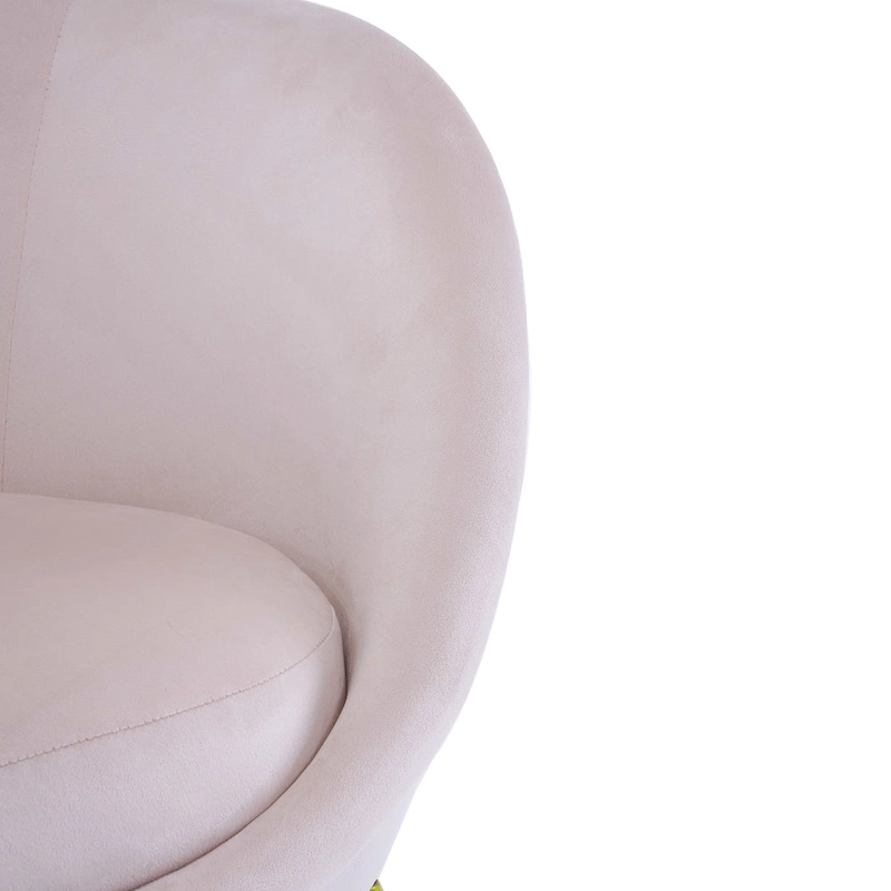 Christopher Knight Home - Eliana Modern Teddy Fabric Accent Chair with Curved Backrest and Gold Legs