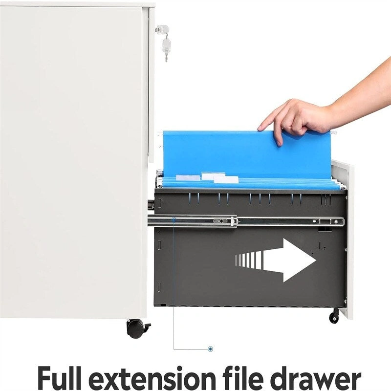 2-Drawer Mobile File Cabinet