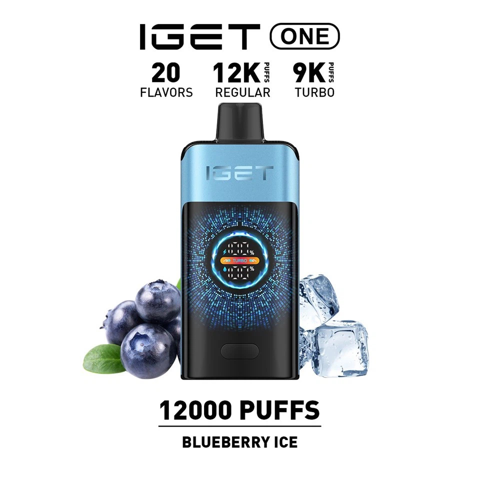 New IGET ONE 12000 Puffs 15 Flavors