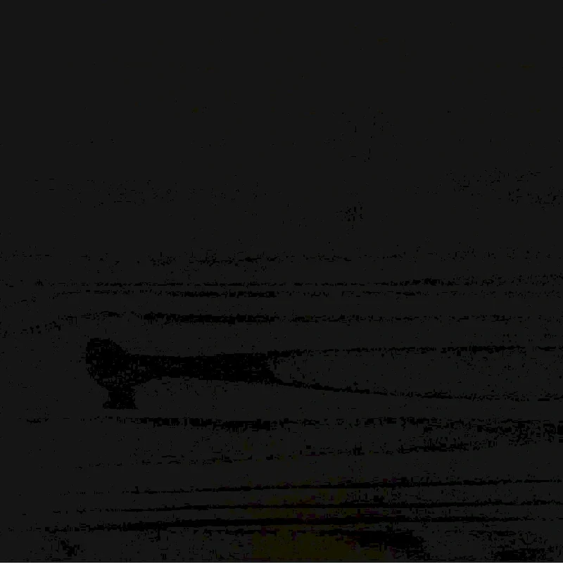 Boho Solid Wood Rattan Headboard King Bedframe