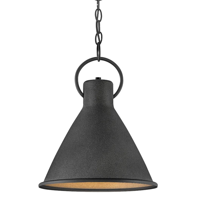 Hinkley Lighting Winnie Single Light 18  Wide Pendant
