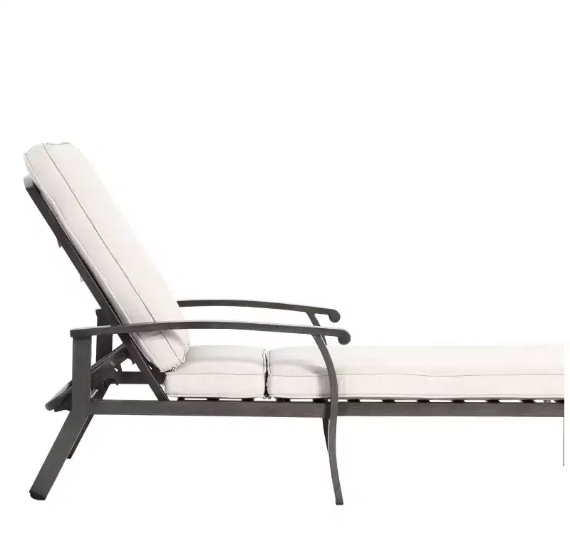 Whisen Patio Chaise Lounges, Outdoor Aluminium Cast Lounge Chair