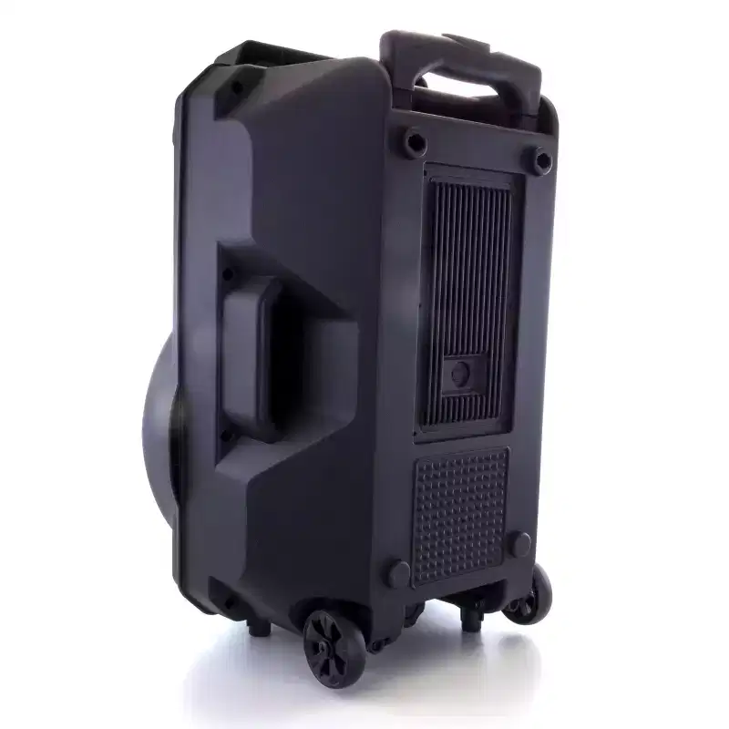 beFree Sound 12 Inch BT Portable Rechargeable Party Speaker