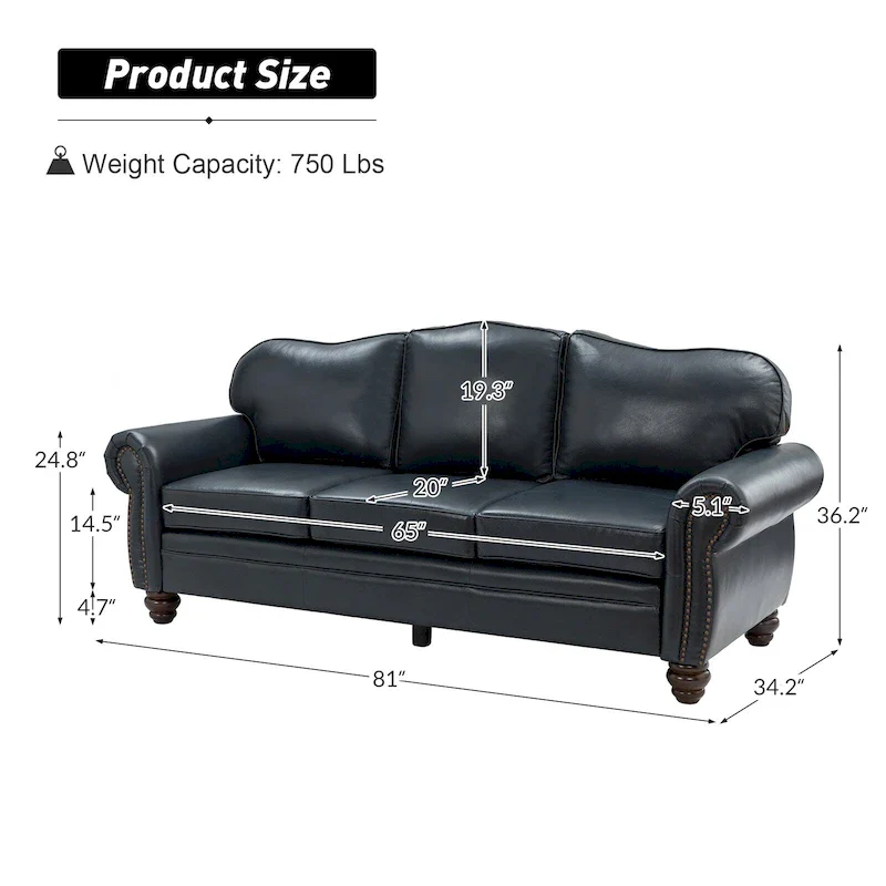 Balvino 81 Wide Transitional Genuine Leather Rolled Arm Sofa with Nailhead Trim and Removable Cushions