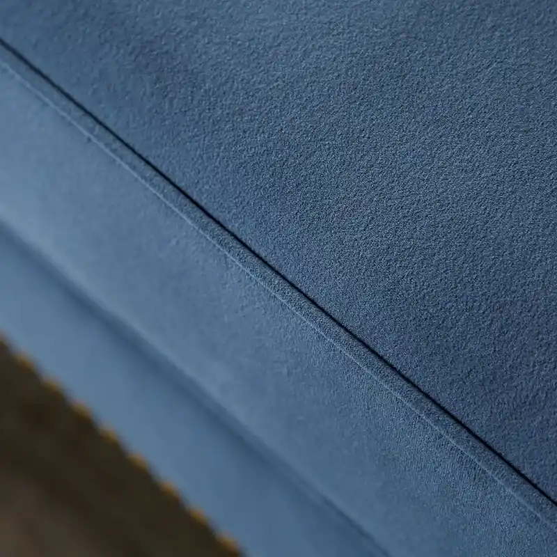 Adeben Transitional Blue Fabric Nailhead Trim Tufted 2-Piece Sofa Set by Furniture of America