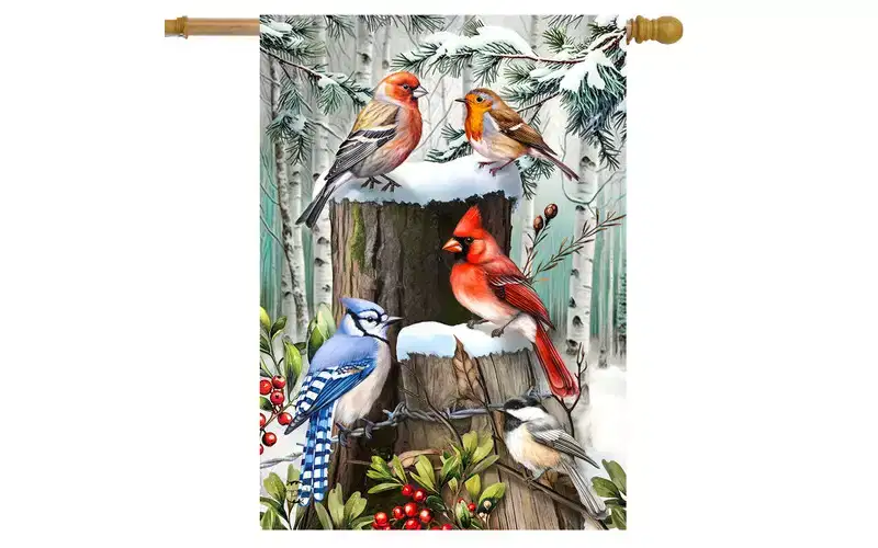 Briarwood Lane Winter House Flag 40x28 For Outdoor Winter Woodland Birds For Winter House Flag