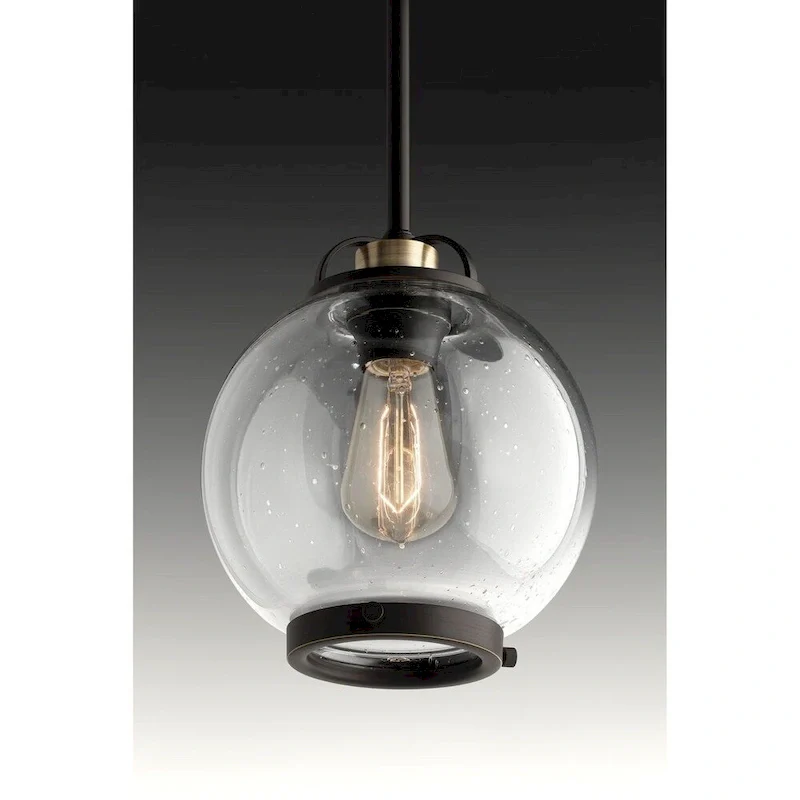 Progress Lighting Chronicle Bronze Steel 1-light Mini Pendant - N/A