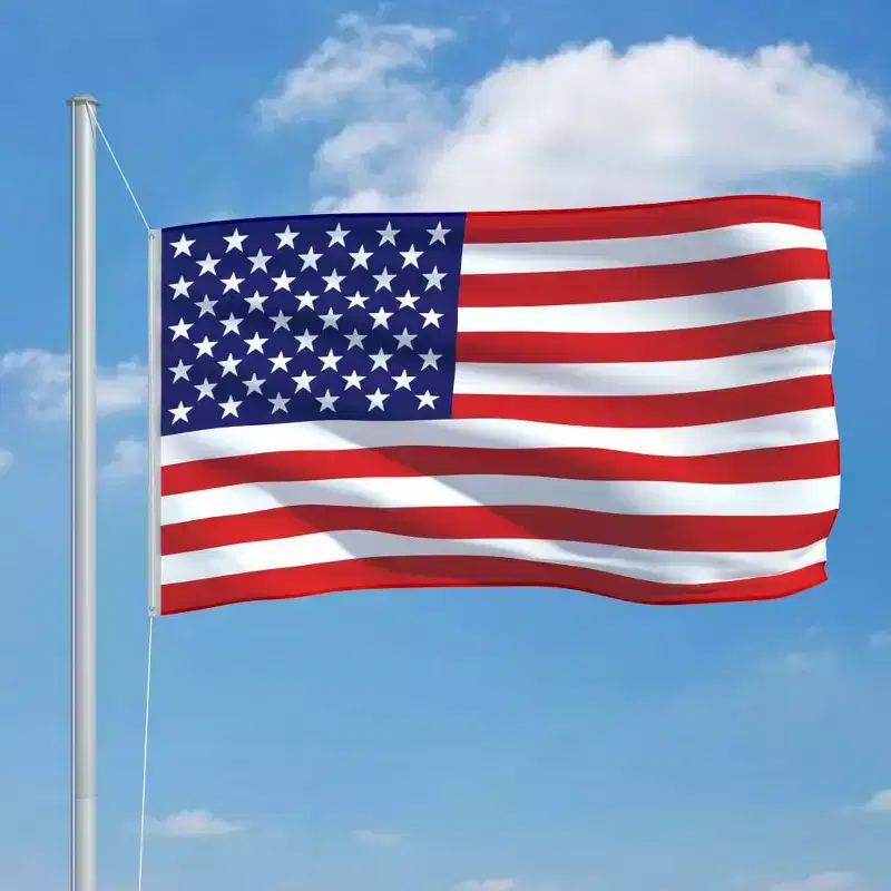 vidaXL US Flag Multicolor 68D 100% polyester Large Durable US Flag