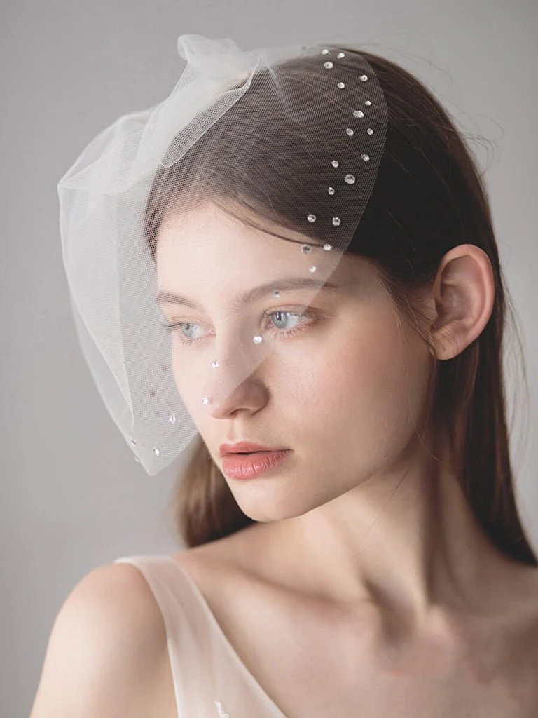 Vintage-Inspired Birdcage Veils with Tiny Crystals Blusher Veil