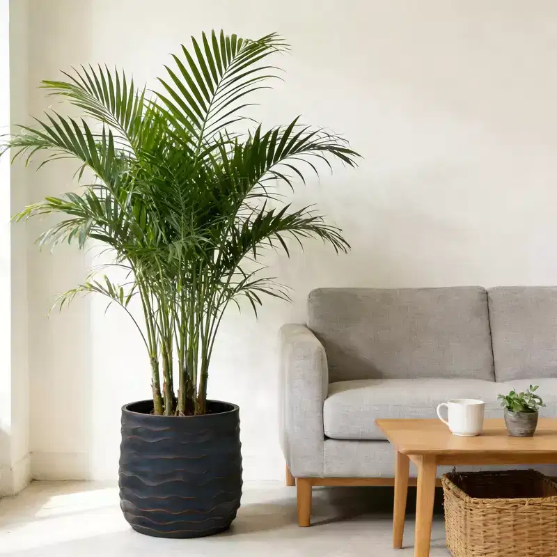 Large Round Planters Set of 2, 16x16 & 12x11, Lightweight Magnesium Oxide, Concrete Texture, Indoor Outdoor