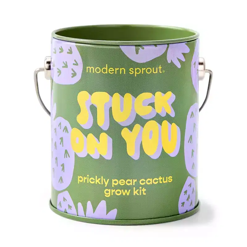 Modern Sprout Cactus Complimentary Color Grow Stuck on You Seed Starter Kit