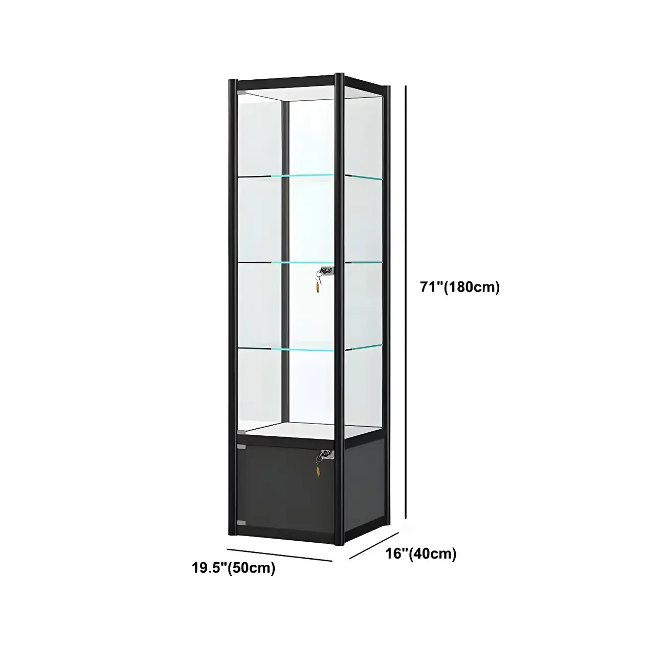 Rectangular Black Clear Glass Metal Frame Curio Cabinet